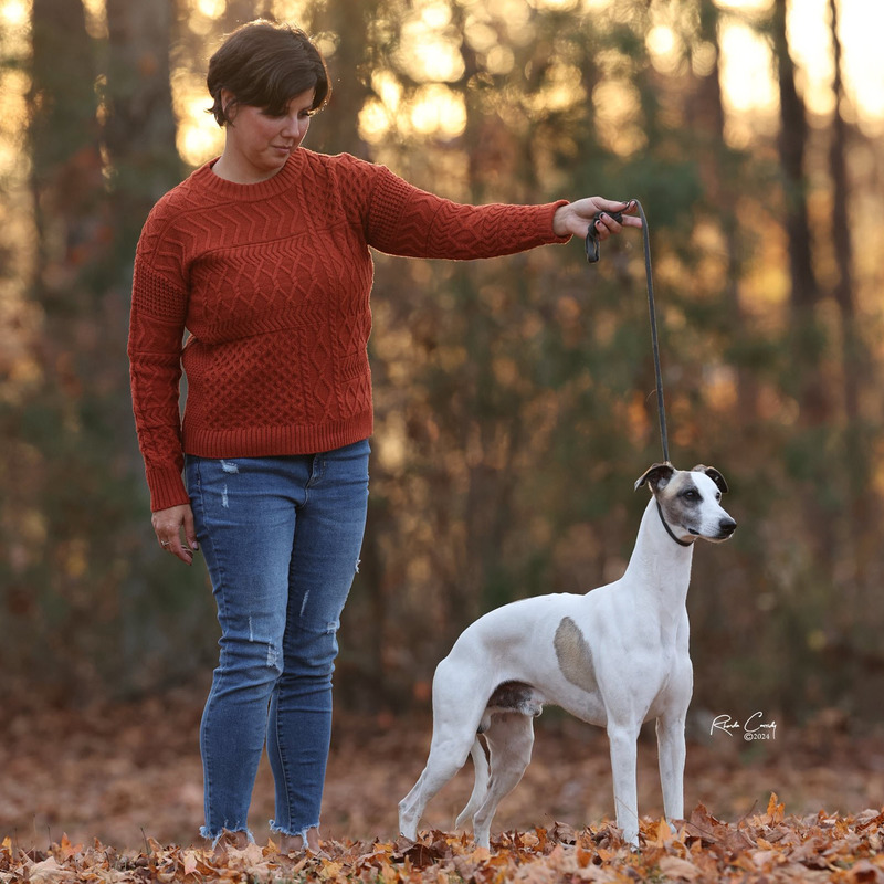 BIS MBISS GCHS Wenrick’s Black Label 'Walker'